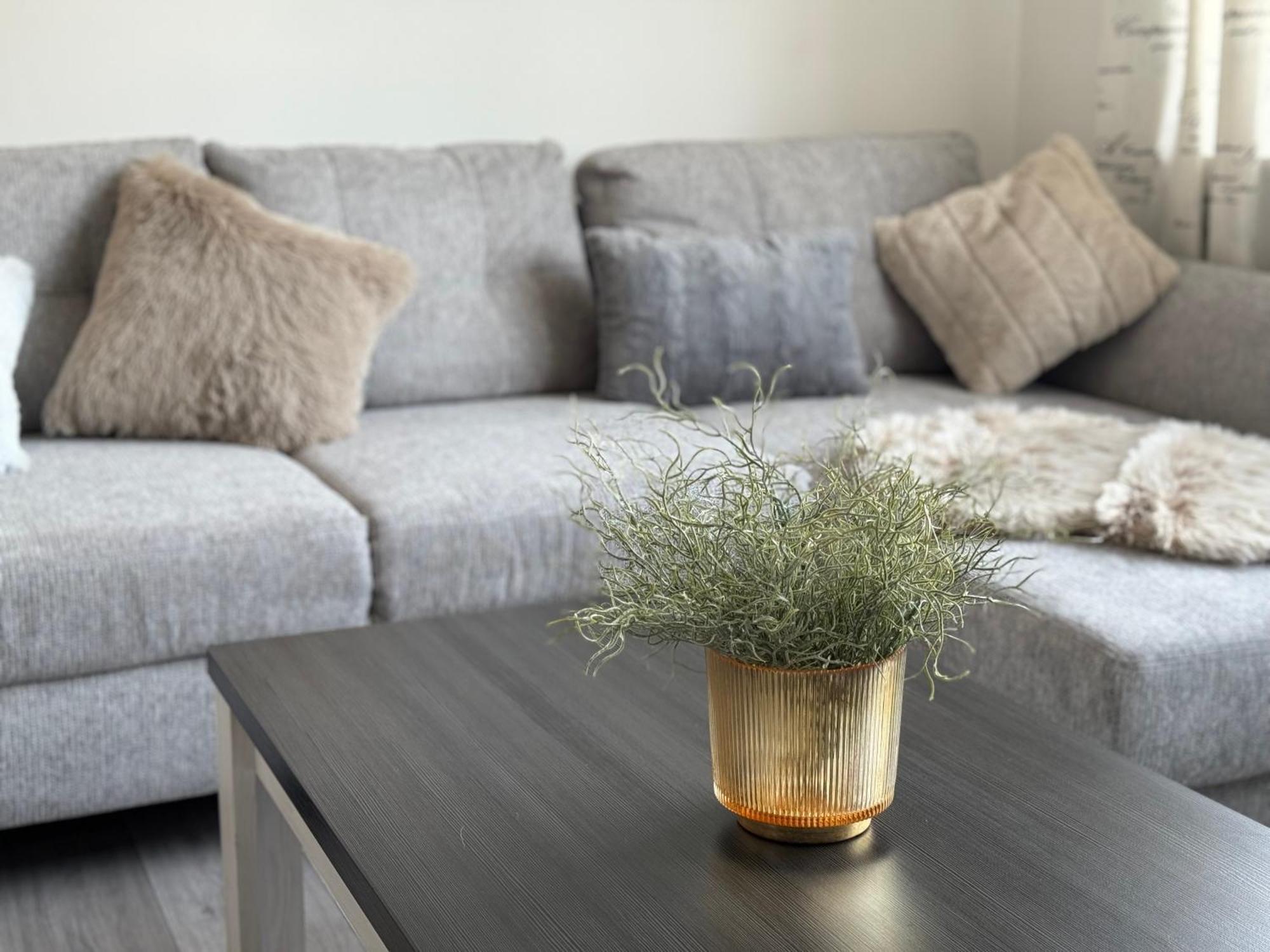 Appartement Moervig Flensburg Ngoại thất bức ảnh